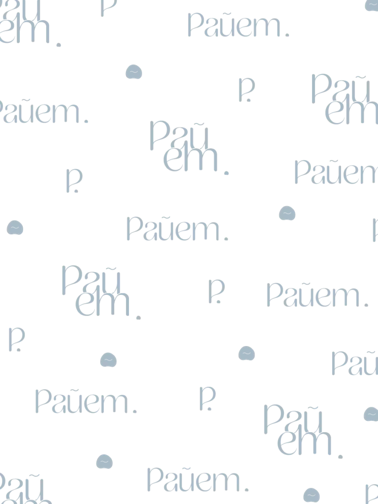 Portfolio - Projet Pauem