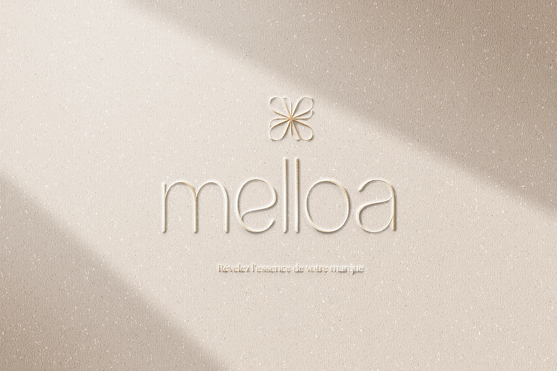 Portfolio - Projet Pauem